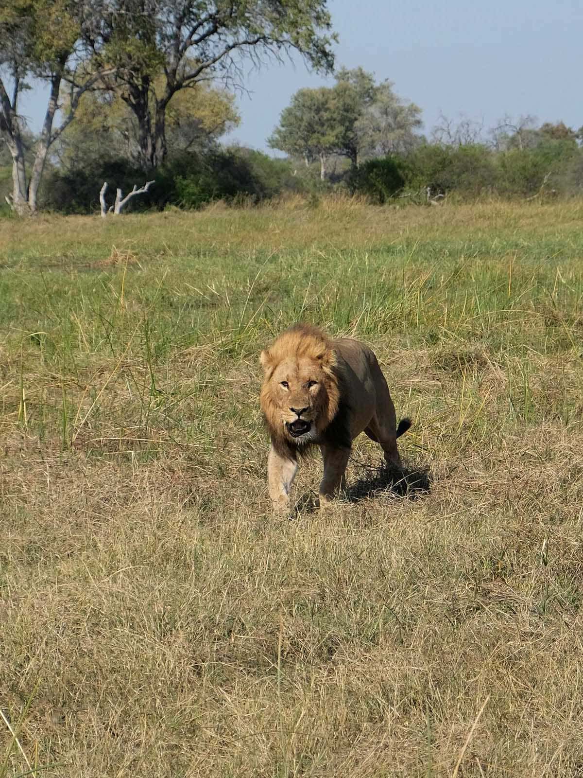 Tanzania