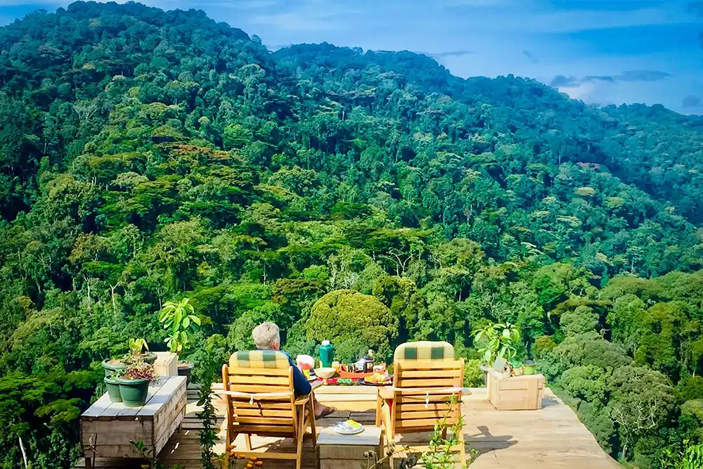 Bwindi Impenetrable views