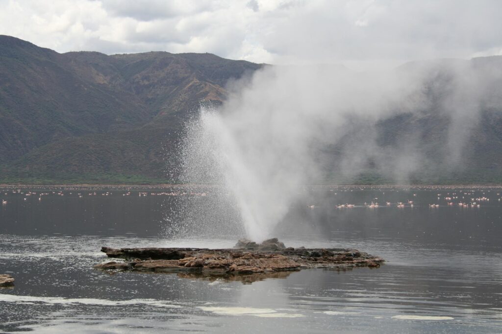 6 days exploration of Lake Nakuru, Lake Bogoria, Lake Naivasha, and the Masai Mara