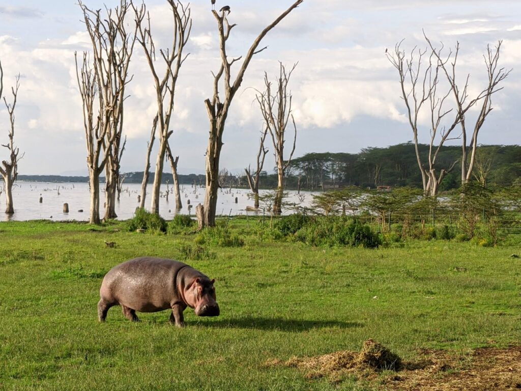 Lake Naivasha