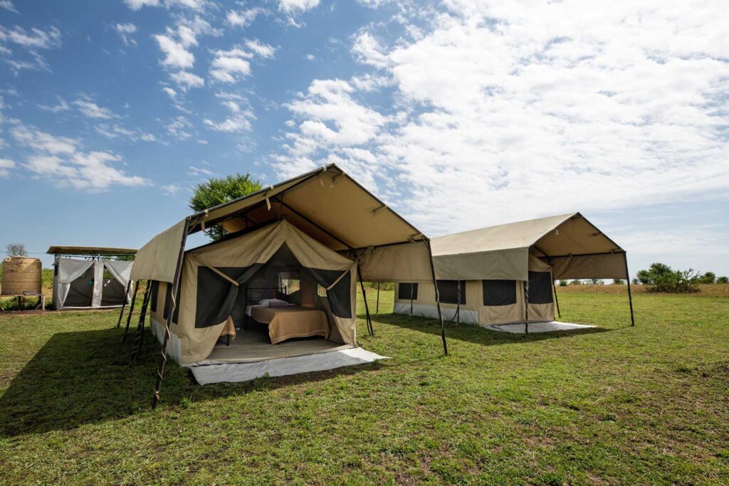 7 days discovery Arusha, Ngorongoro, and Serengeti National Park