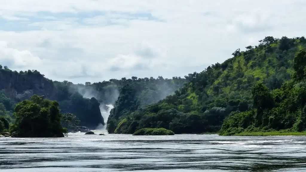 4 days Ugandan safari in Entebbe, Murchison Falls National Park, and Kampala