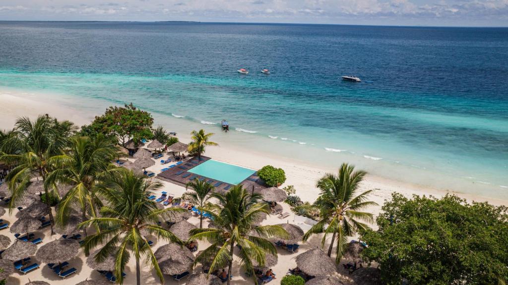 8 days African tour of Serengeti and Zanzibar relaxation