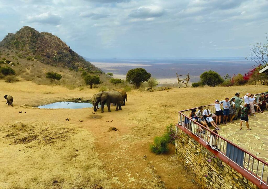 Ngulia Safari Lodge with elephants