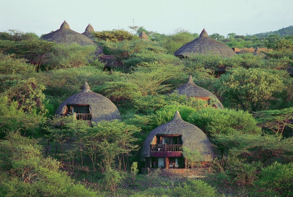 Serengeti-serena-safari-lodge-main