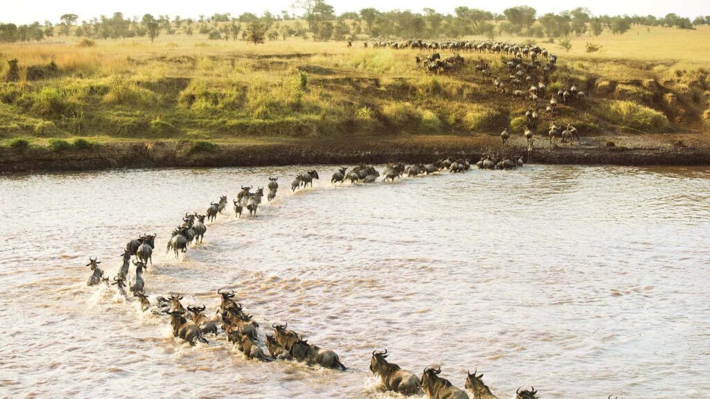 3 days of exploring the Masai Mara National Reserve