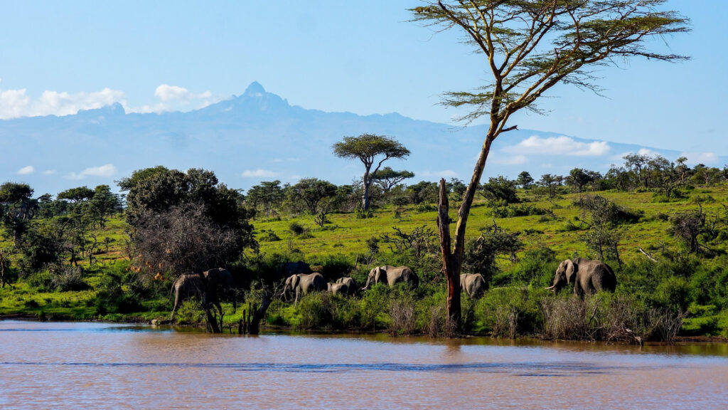 5 days African safari through the Aberdares, Lake Nakuru, and the Masai Mara