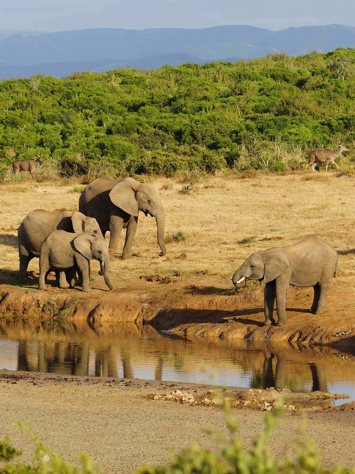 South Africa