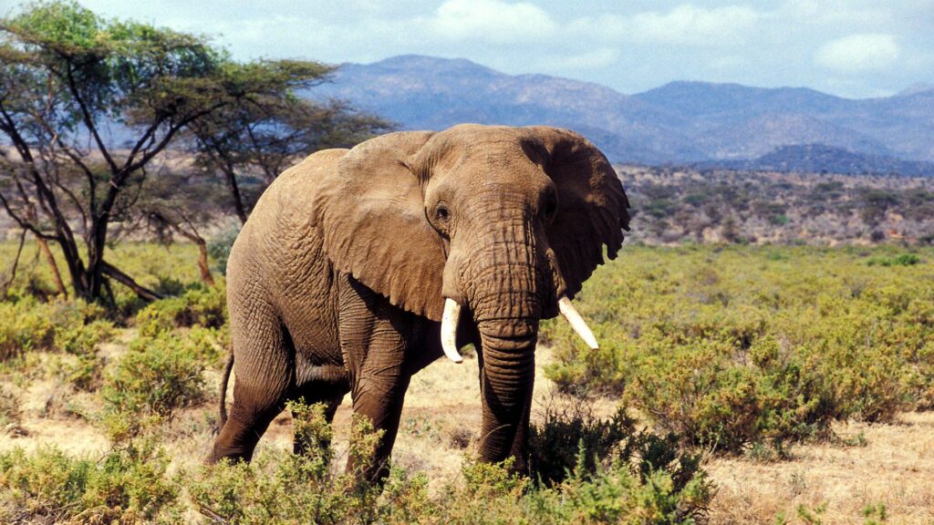 3 days expedition through the Samburu National Reserve