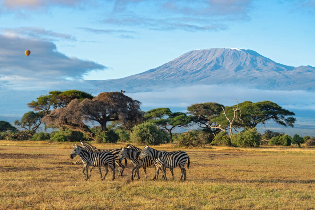 3 days of safari covering Amboseli National Park