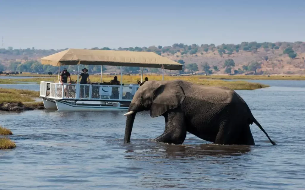 Chobe-National-Park