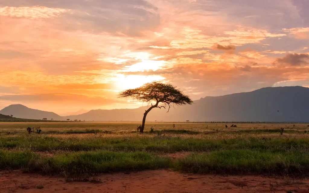 10-day adventure of Johannesburg, Gauteng, Pretoria, Kruger, Cape Town, Stellenbosch, and Franschhoek