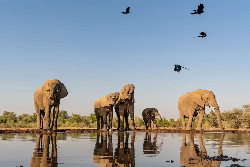 13-day Southern Africa adventure through Johannesburg, Gauteng, Pretoria, Kruger, Sabi Sand, Stellenbosch, Franschhoek, Paarl, and Victoria Falls (Zimbabwe)