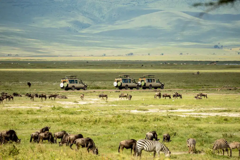 14-day discovery of Tanzania and Zimbabwe: starting in Arusha, Serengeti, Ngorongoro, Karatu, Lake Manyara, Tarangire, and Victoria Falls