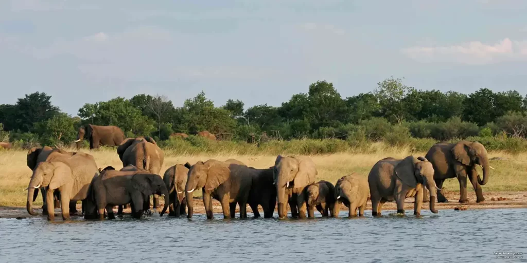Southern Hwange National Park