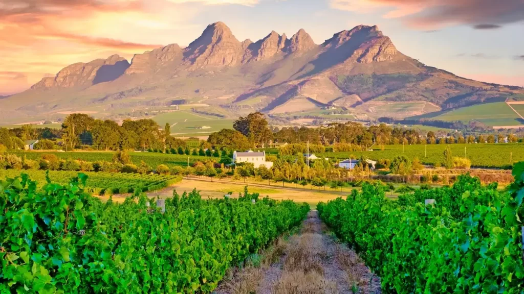11-day ultimate tour of Cape Town, Aquila, Stellenbosch, Paarl, and Western Cape