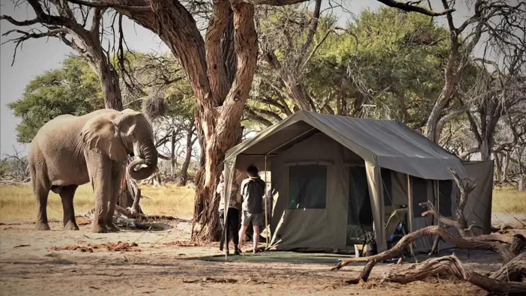 botswana mobile safaris