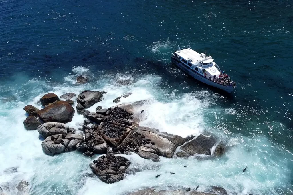 2-day discovery of Cape Town