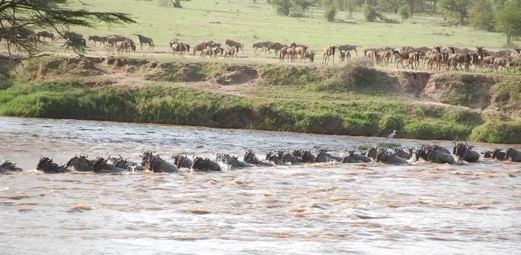 12 days of epic Tanzania and Zimbabwe safari: starting in Arusha, Serengeti, Ngorongoro, Karatu, Victoria Falls, and Zambezi