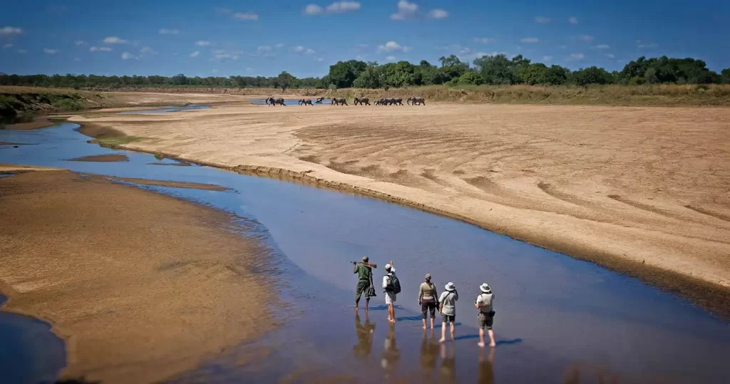 11 days of touring Lusaka, South Luangwa, Lower Zambezi, Northern Kafue, and Victoria Falls (Zambia)