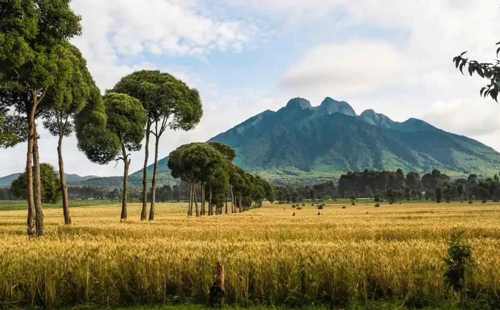 volcanoes-national-park