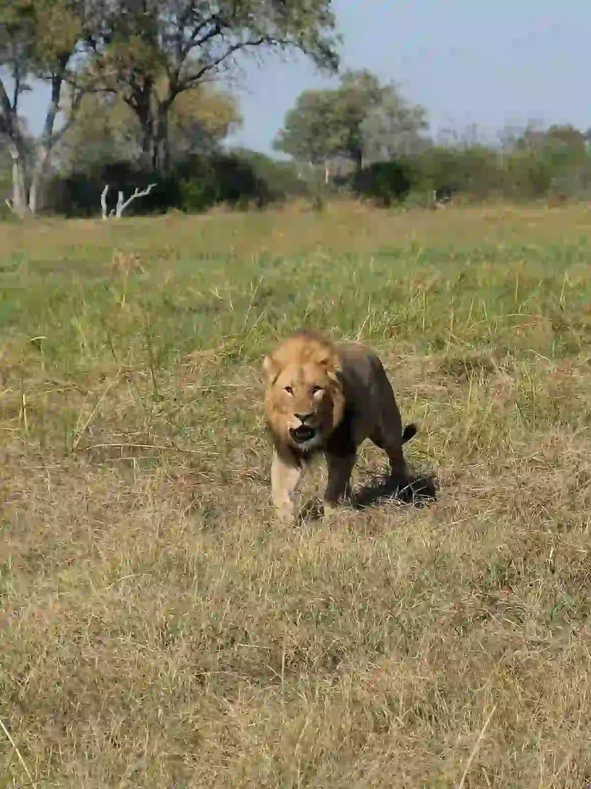 Tanzania