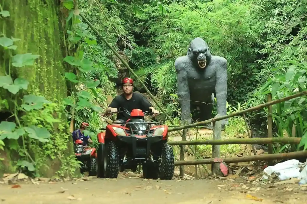 Double ATV ride