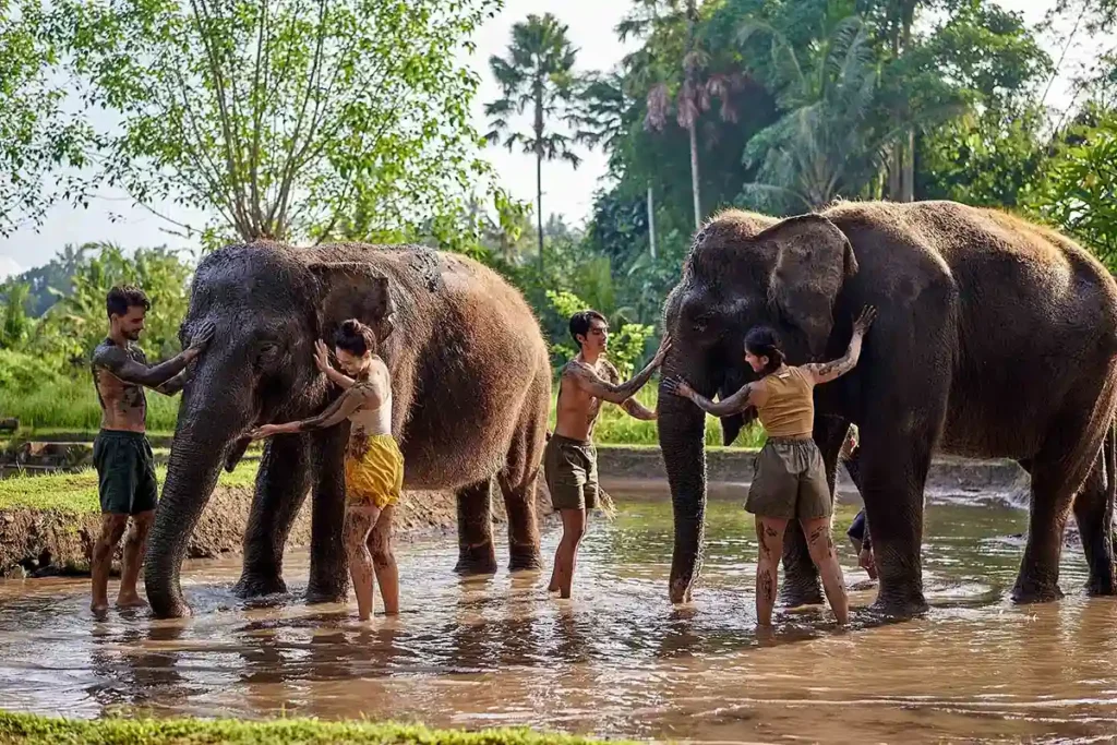 5-day discovery of Bali: Enjoy ATV, Giant Swing, & elephant bathing experience