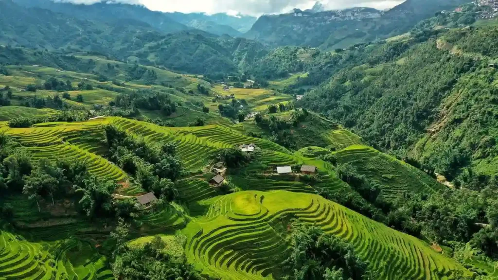 Sapa rice terraces viet