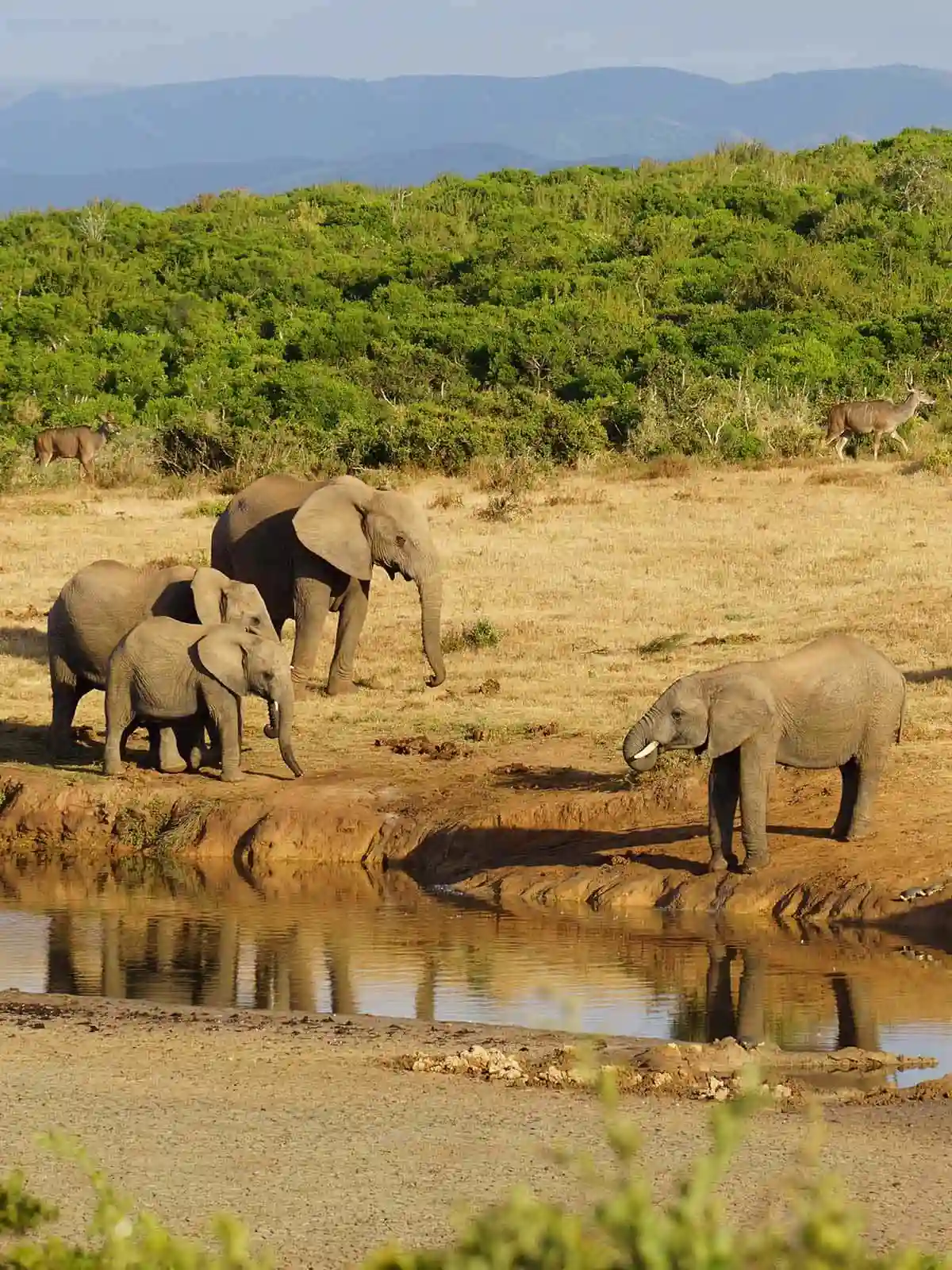 South Africa