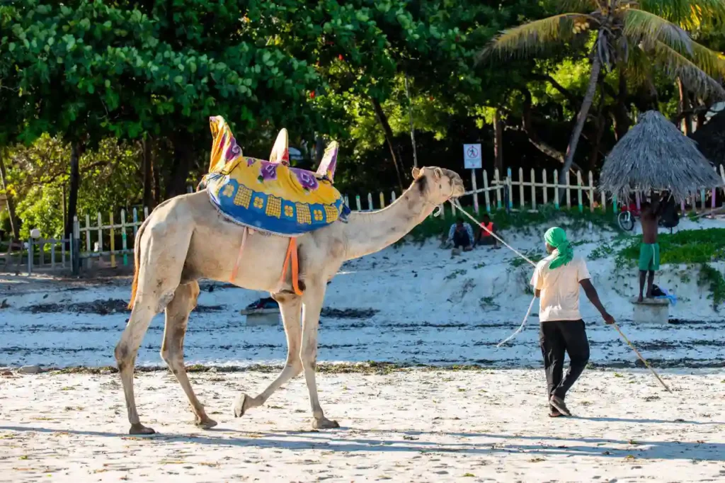 3-day Mombasa holiday with return flights  – October & November