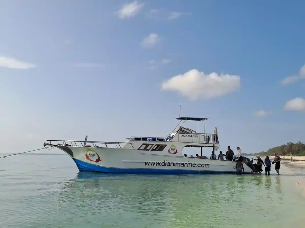 Diving-diani