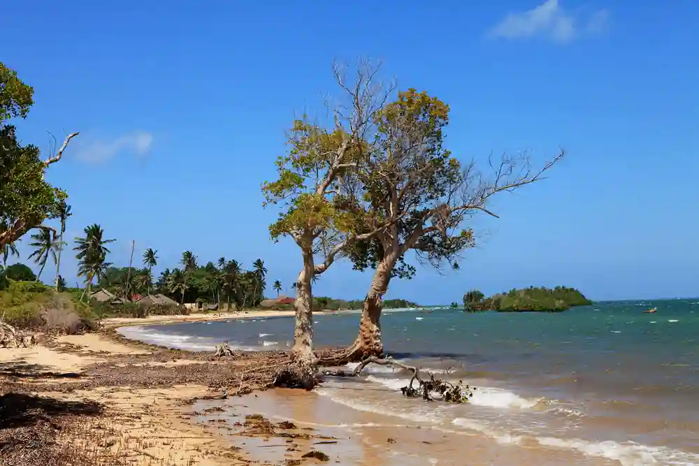 3-day Mombasa holiday with return SGR – October & November