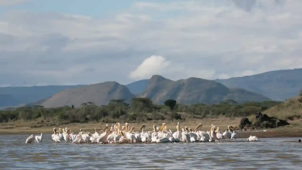 Lake-elmenteita-is-the