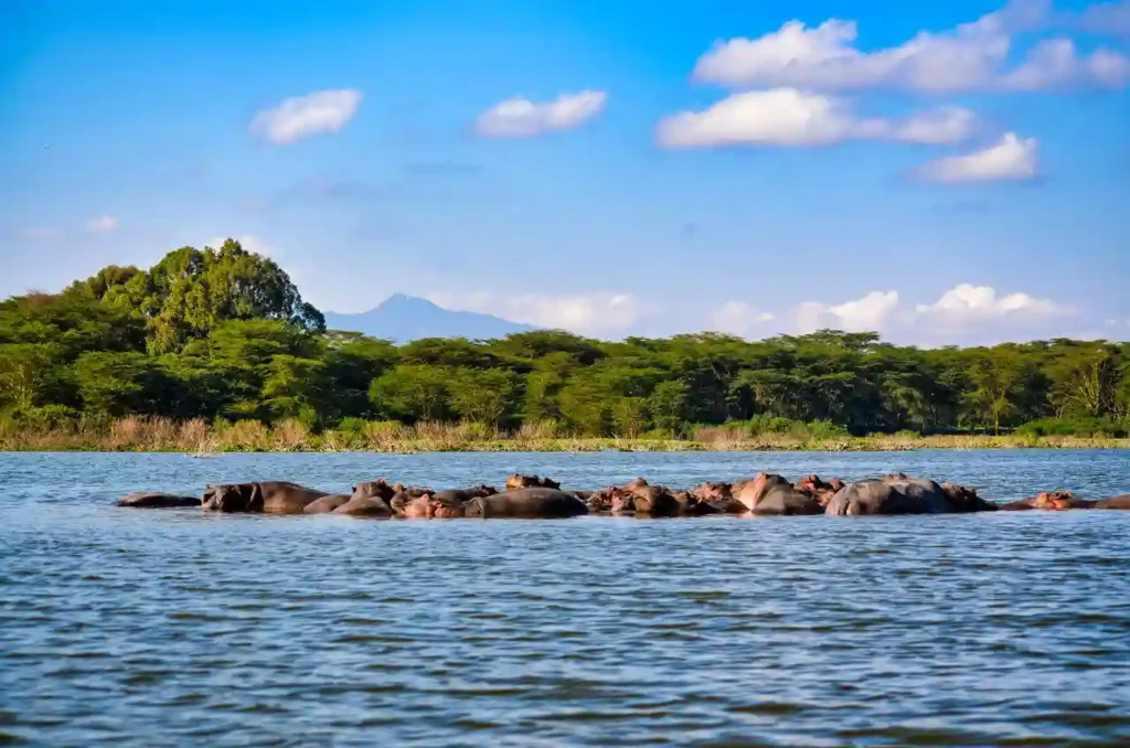 Lake naivasha