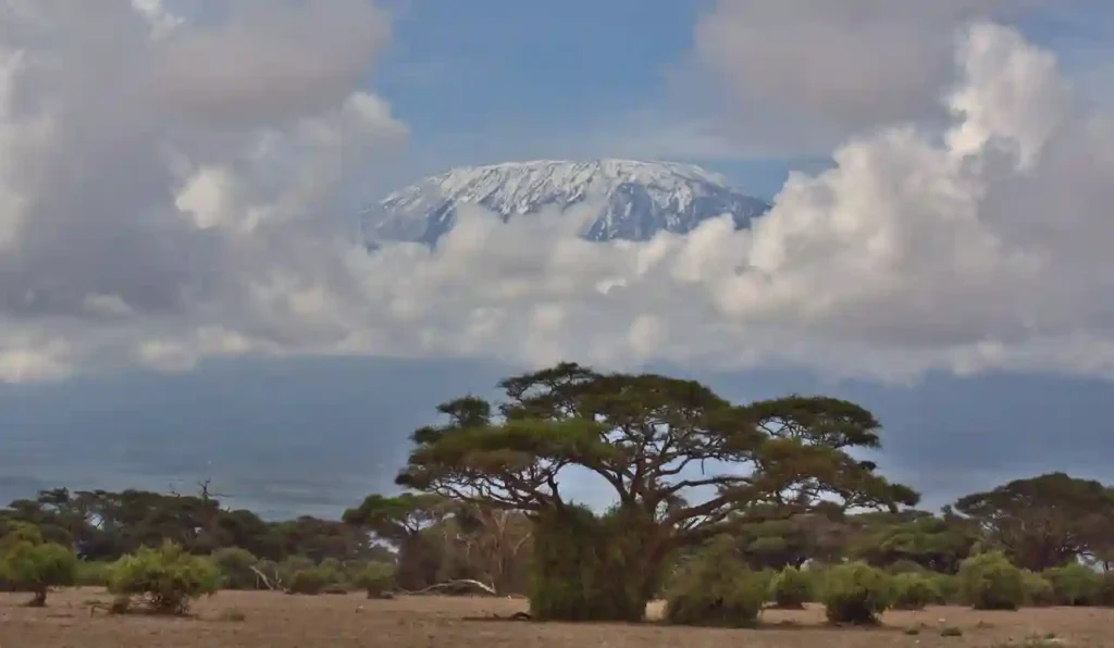 Mt Kilimanjaro